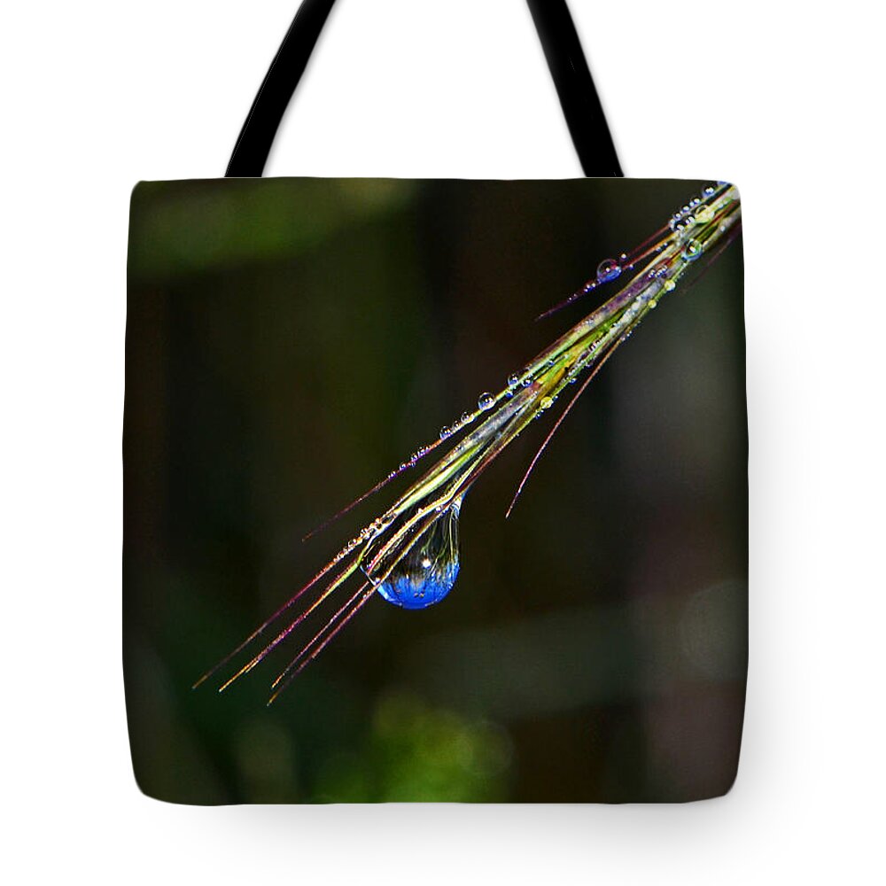 Dewdrop Tote Bag featuring the photograph Dewdrop Reflection - Sunrise 001 by George Bostian