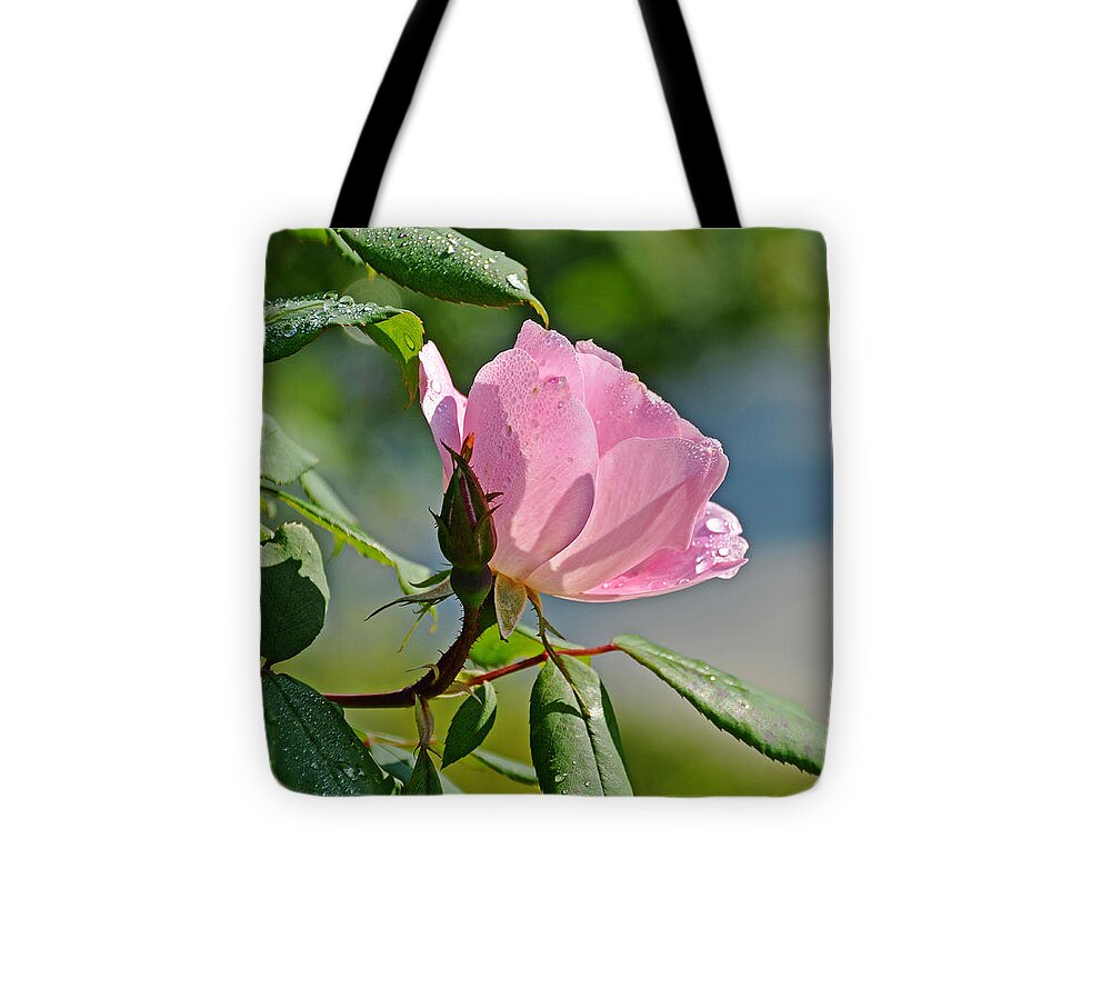 Flower Tote Bag featuring the photograph Dewy Rose by Linda Brown
