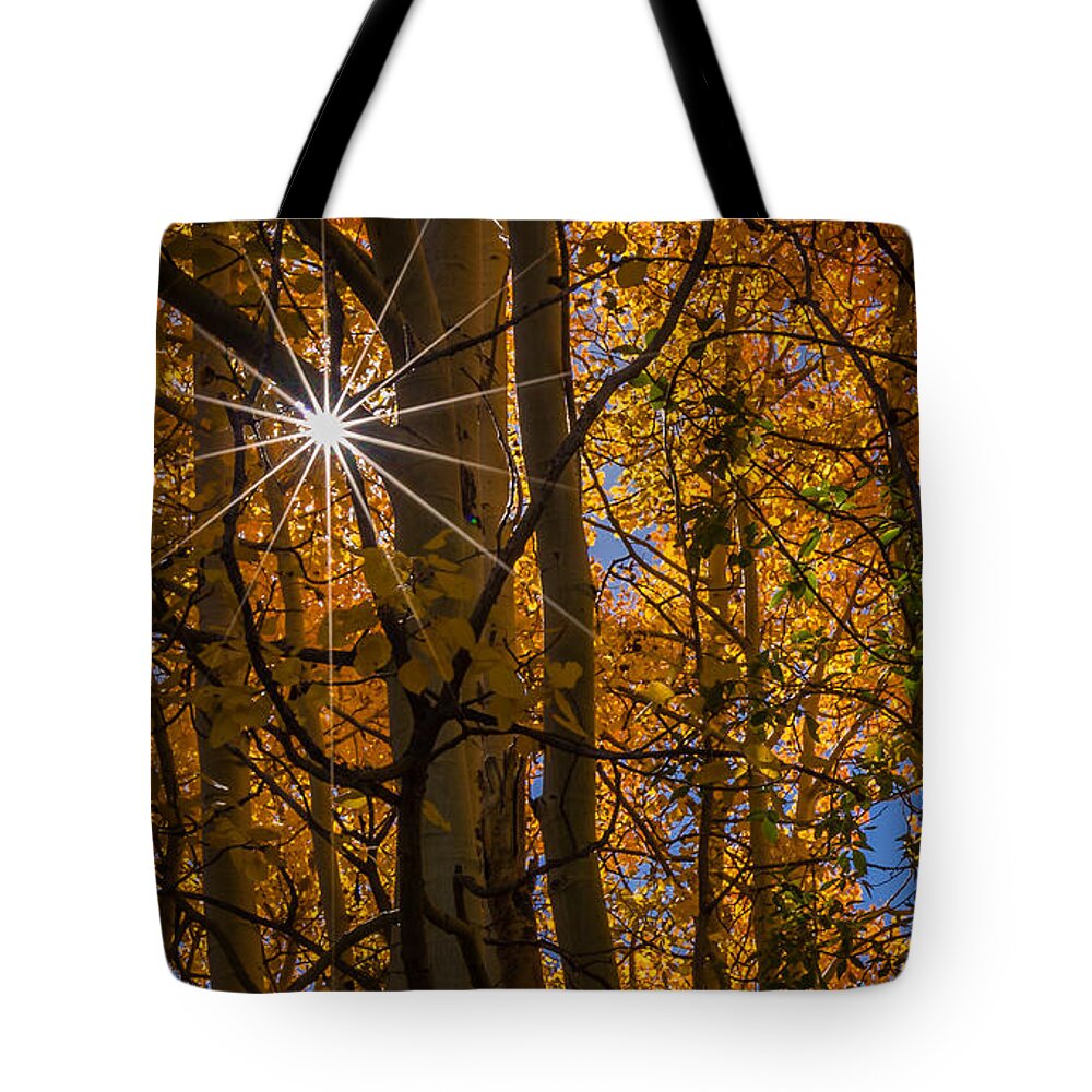 Art Tote Bag featuring the photograph Diffraction Action by Gary Migues