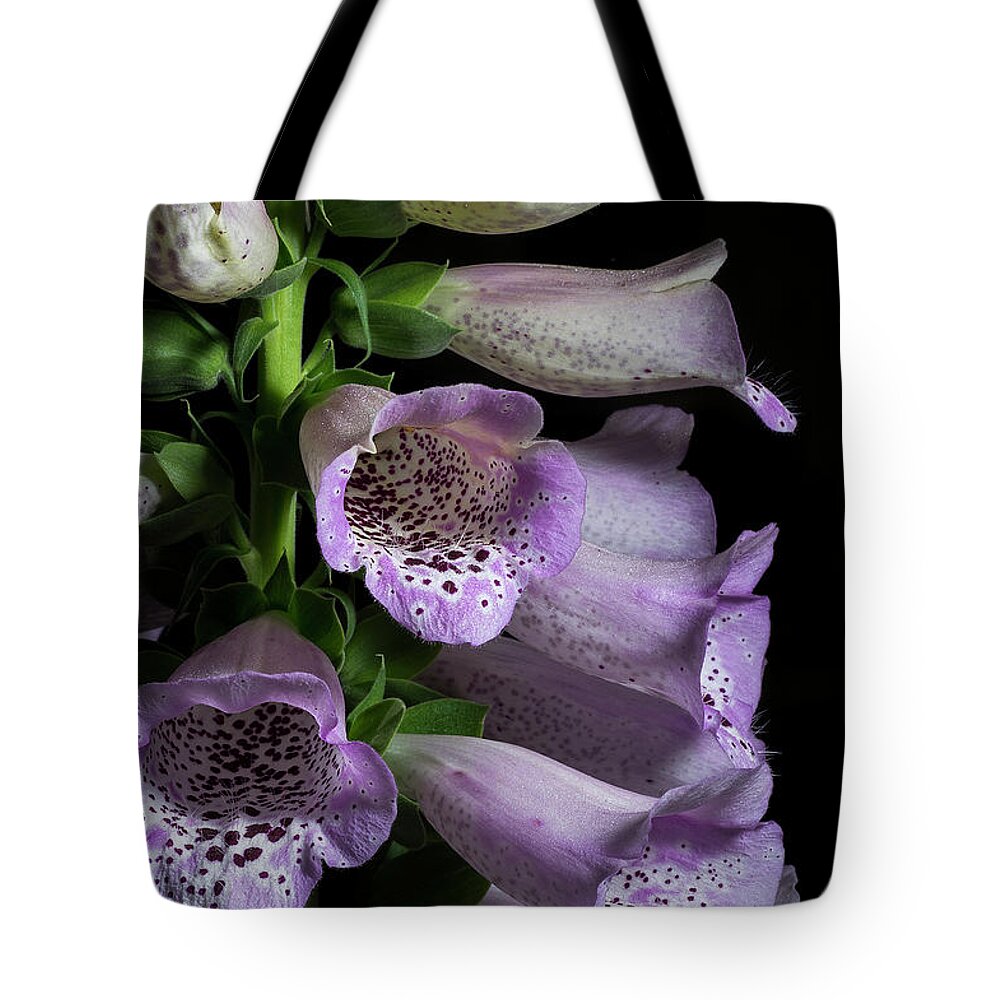 Digitalis Purpurea Tote Bag featuring the photograph Digitalis purpurea by Richard Rizzo