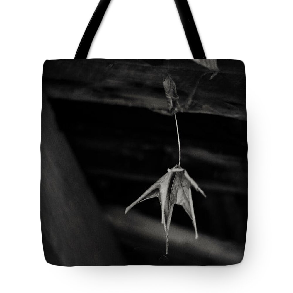 Abandoned House Tote Bag featuring the photograph Dim Secrets by Rebecca Sherman