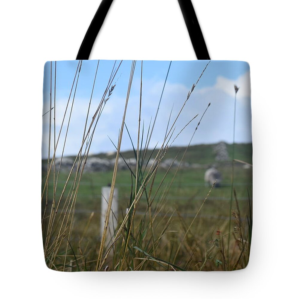 Ireland Tote Bag featuring the photograph Dingle Grasses by Curtis Krusie
