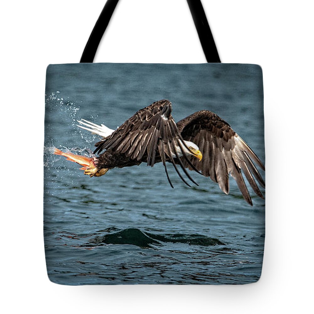 Bald Eagle Tote Bag featuring the photograph Dinner by Jeanette Mahoney