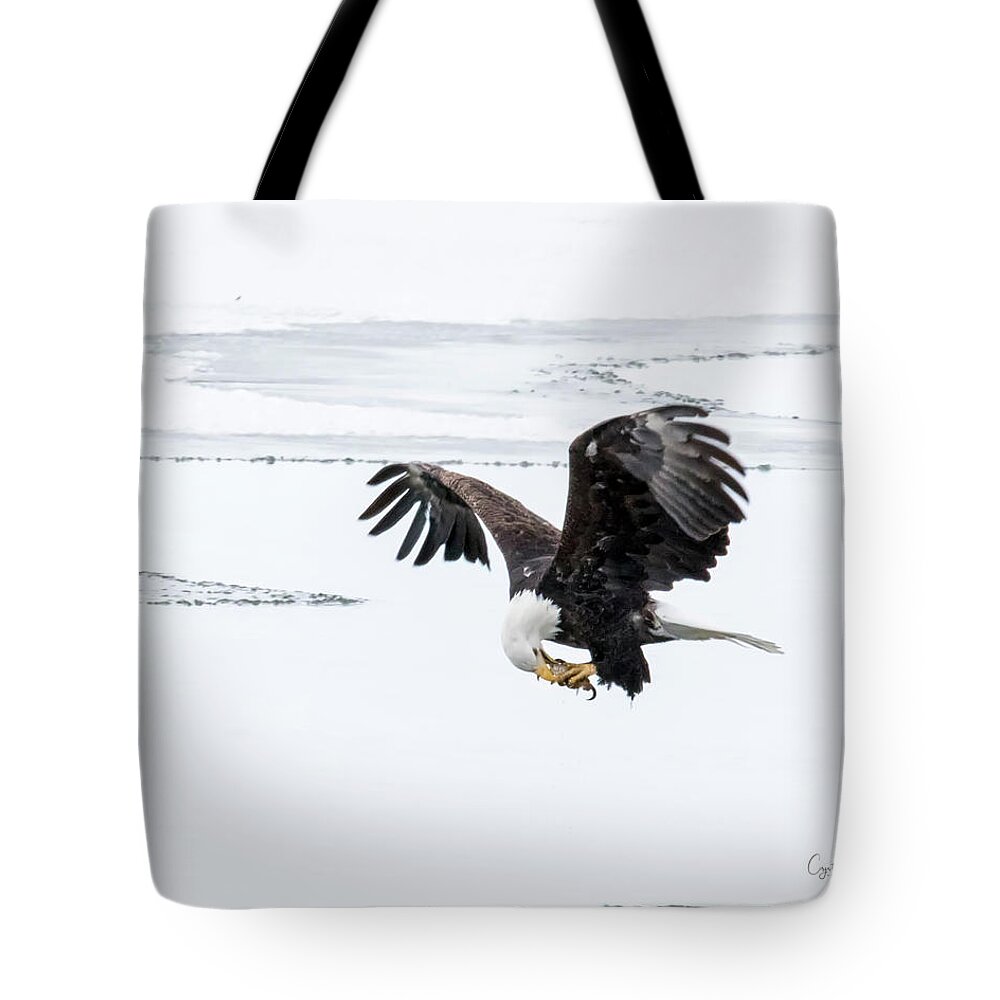 Eagle Tote Bag featuring the photograph Dinner on the go by Crystal Socha