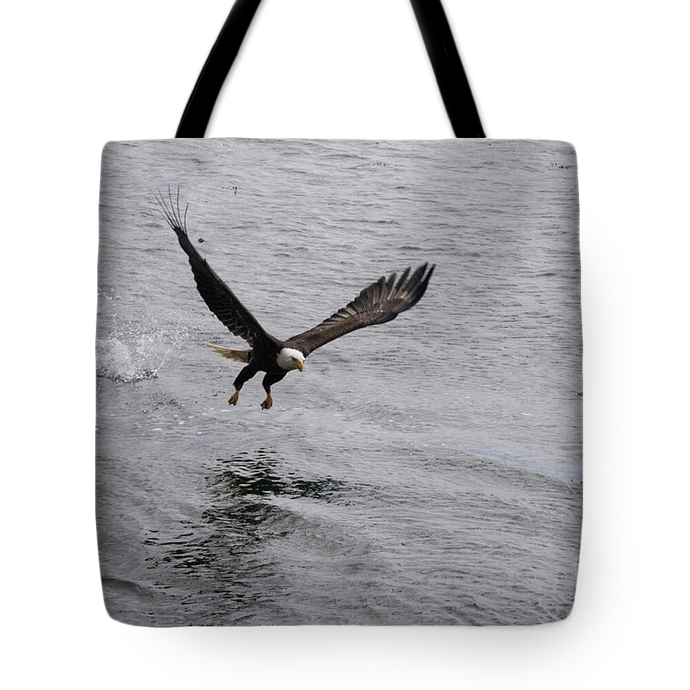 Eagle Tote Bag featuring the photograph Dinner? Prince Rupert Eagle by Louise Magno