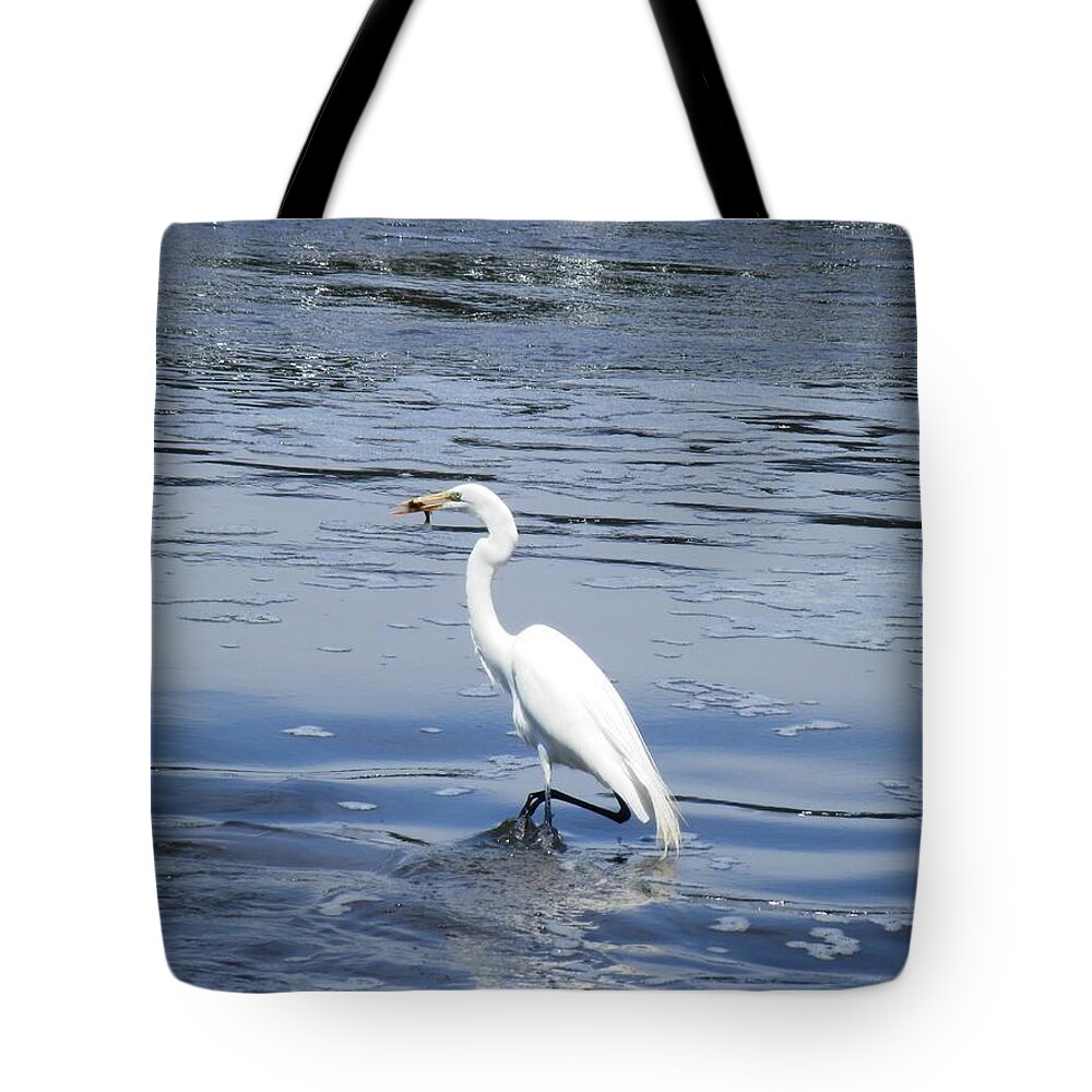 Pelican Tote Bag featuring the photograph Dinnertime Pelican by Deborah Kunesh