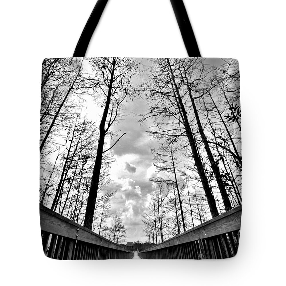 Direction Tote Bag featuring the photograph Direction by Lisa Renee Ludlum
