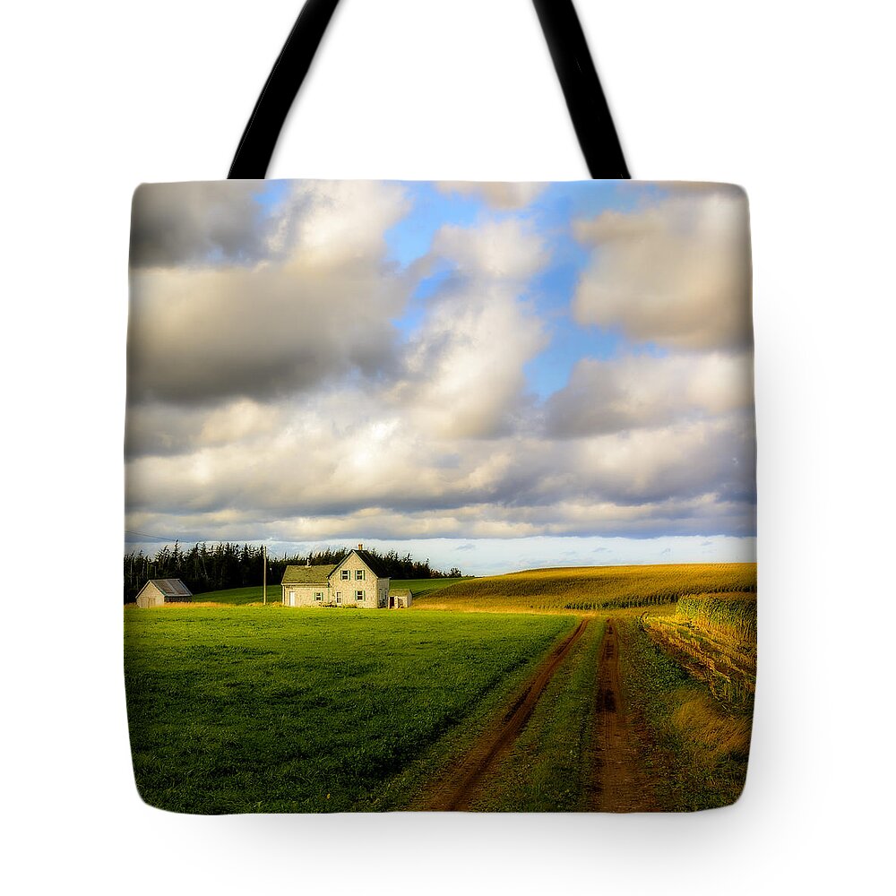 Cape Breton Tote Bag featuring the photograph Dirt Road to Old Homestead, Mabou Ridge by Ken Morris