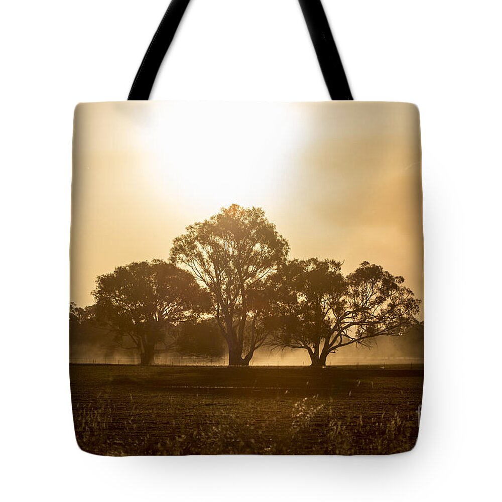 Sunset Tote Bag featuring the photograph Dirtbike Dust by Linda Lees