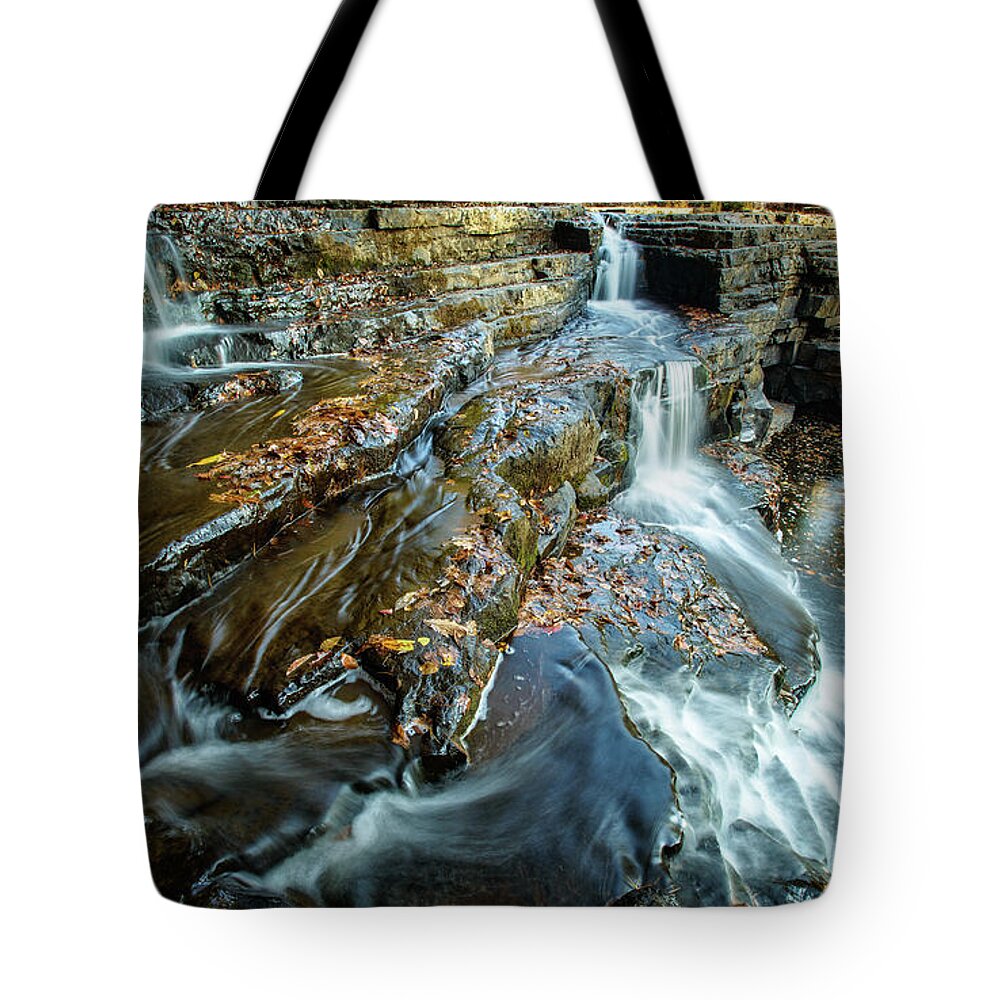 Landscape Tote Bag featuring the photograph Dismal Creek Falls #2 by Joe Shrader