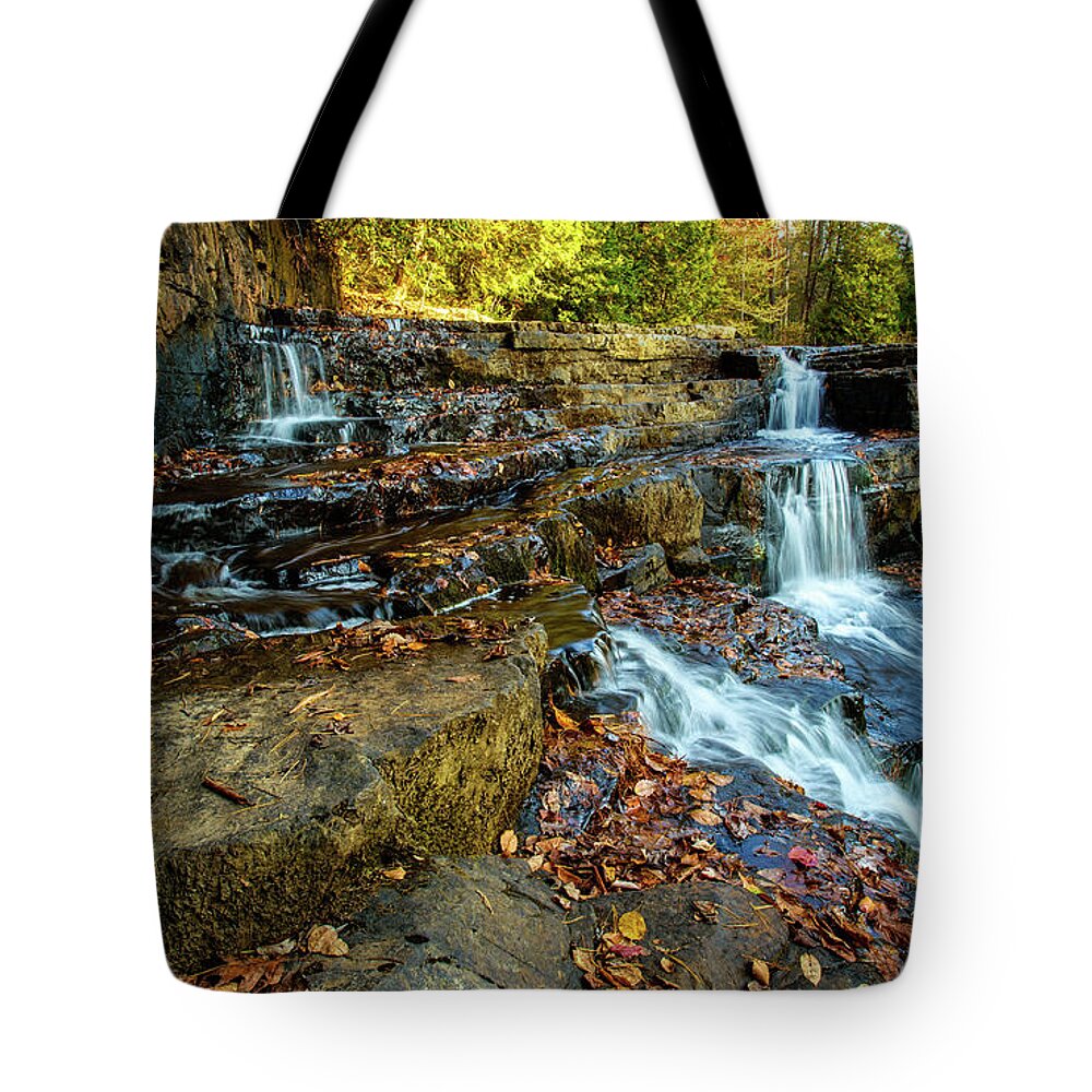 Landscape Tote Bag featuring the photograph Dismal Creek Falls Horizontal by Joe Shrader