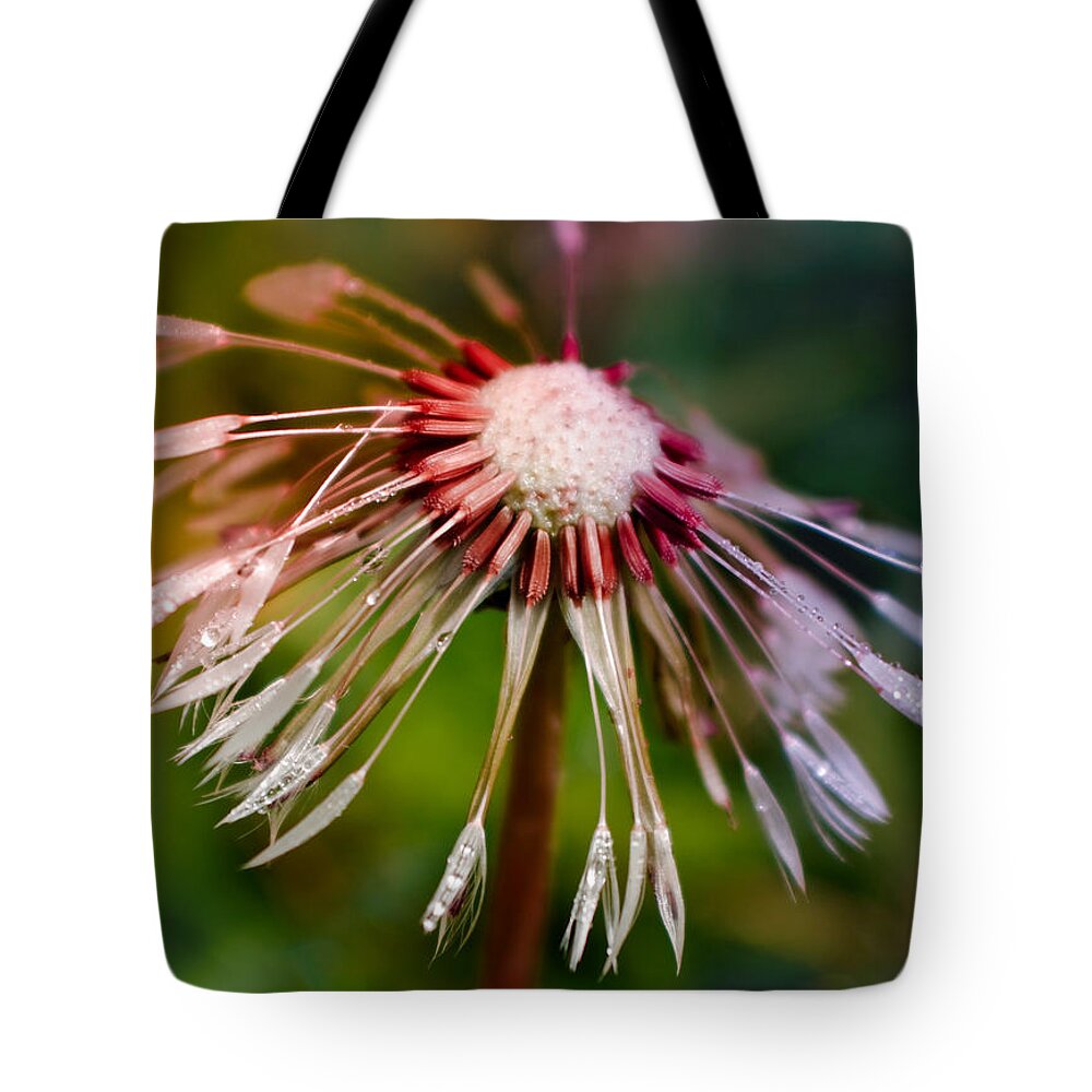 Adria Trail Tote Bag featuring the photograph Dispersion by Adria Trail