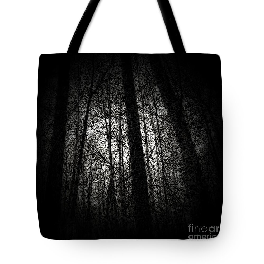 Dark Forest Tote Bag featuring the photograph Divine Decree by Angie Rea