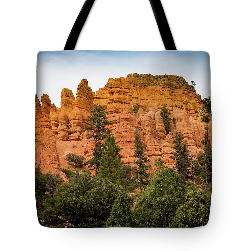 Mountain Tote Bag featuring the photograph Dixie National Forest Mts. by Kathleen Scanlan