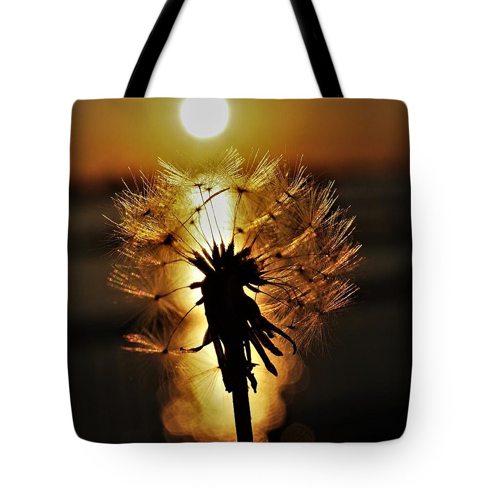 Sunset Tote Bag featuring the photograph Dandelion Sunset by Jerry Connally