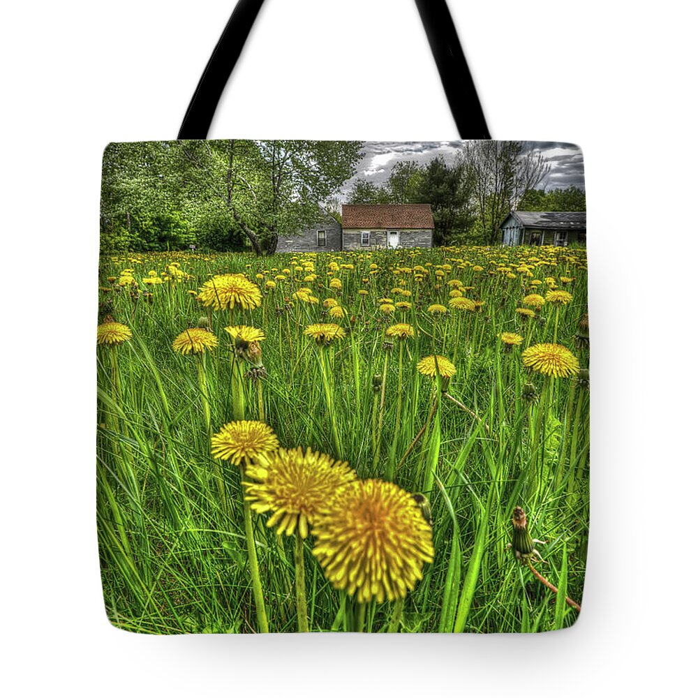 Dandelions Tote Bag featuring the photograph Dlion Delit by Jeff Cooper