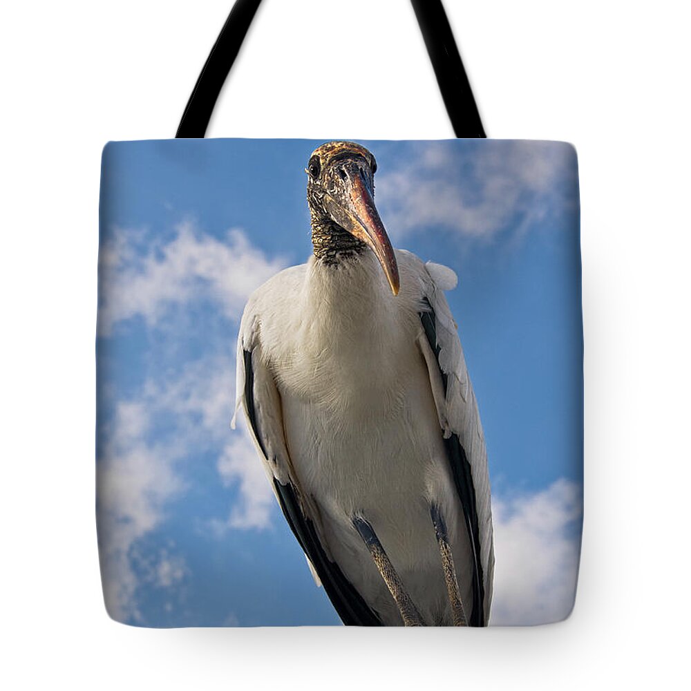 Stork Tote Bag featuring the photograph Do I Know You by Christopher Holmes