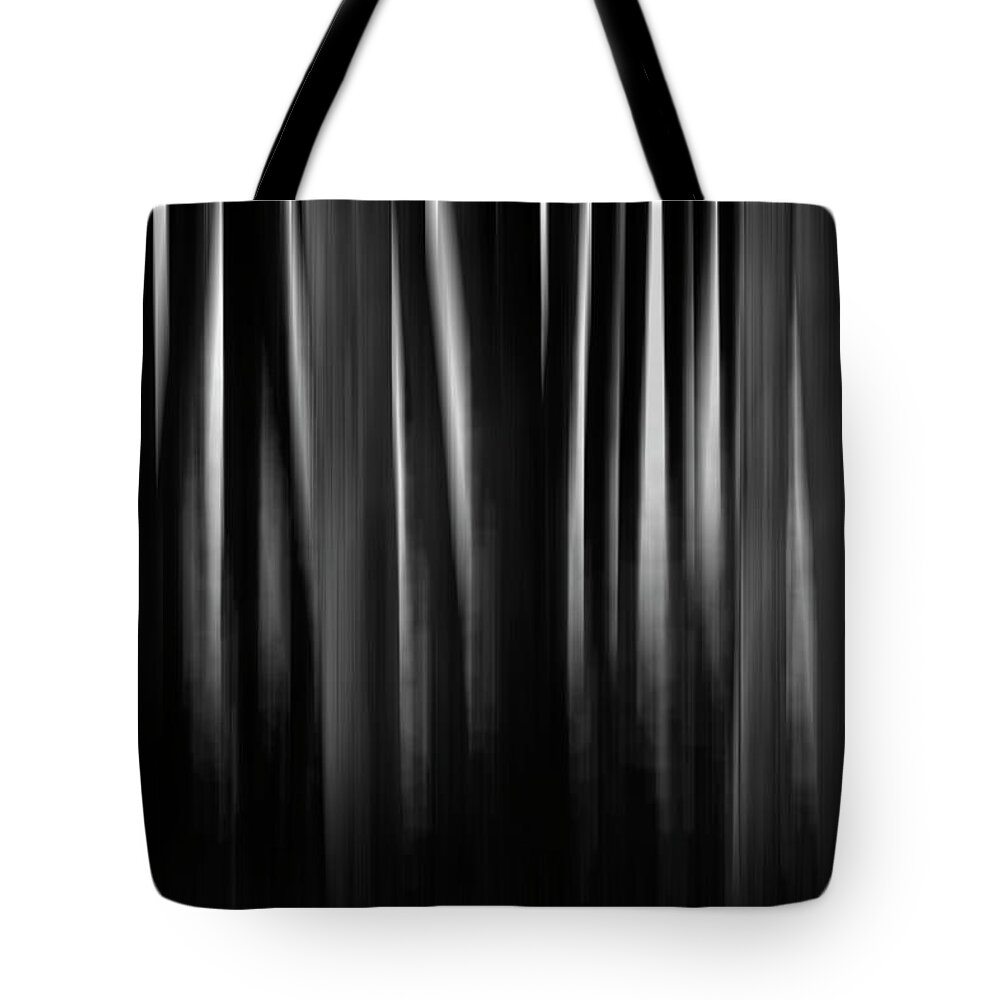 Abstract Tote Bag featuring the photograph Dock and Reflection II BW by David Gordon