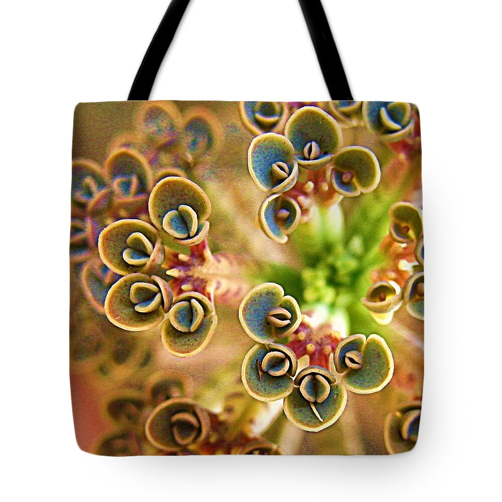 Plants Tote Bag featuring the photograph Up And Coming Body Snatchers by John King I I I