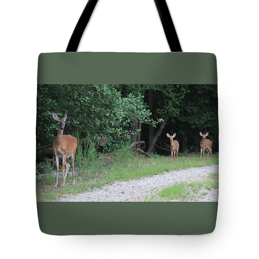Deer Doe Twin Fawn Tote Bag featuring the photograph Doe With Twins by Jerry Battle
