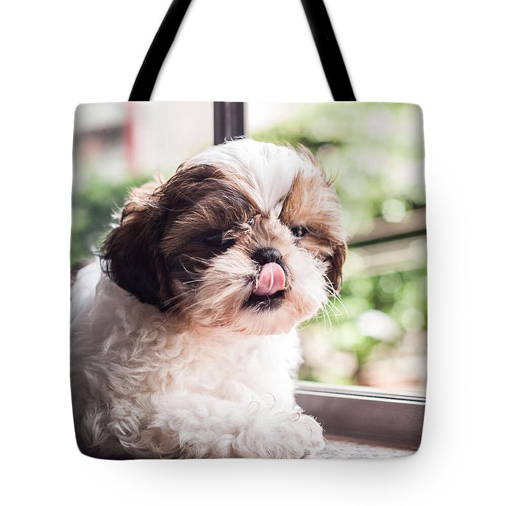 Book Tote Bag featuring the photograph Dog 1 by Rossana Magri
