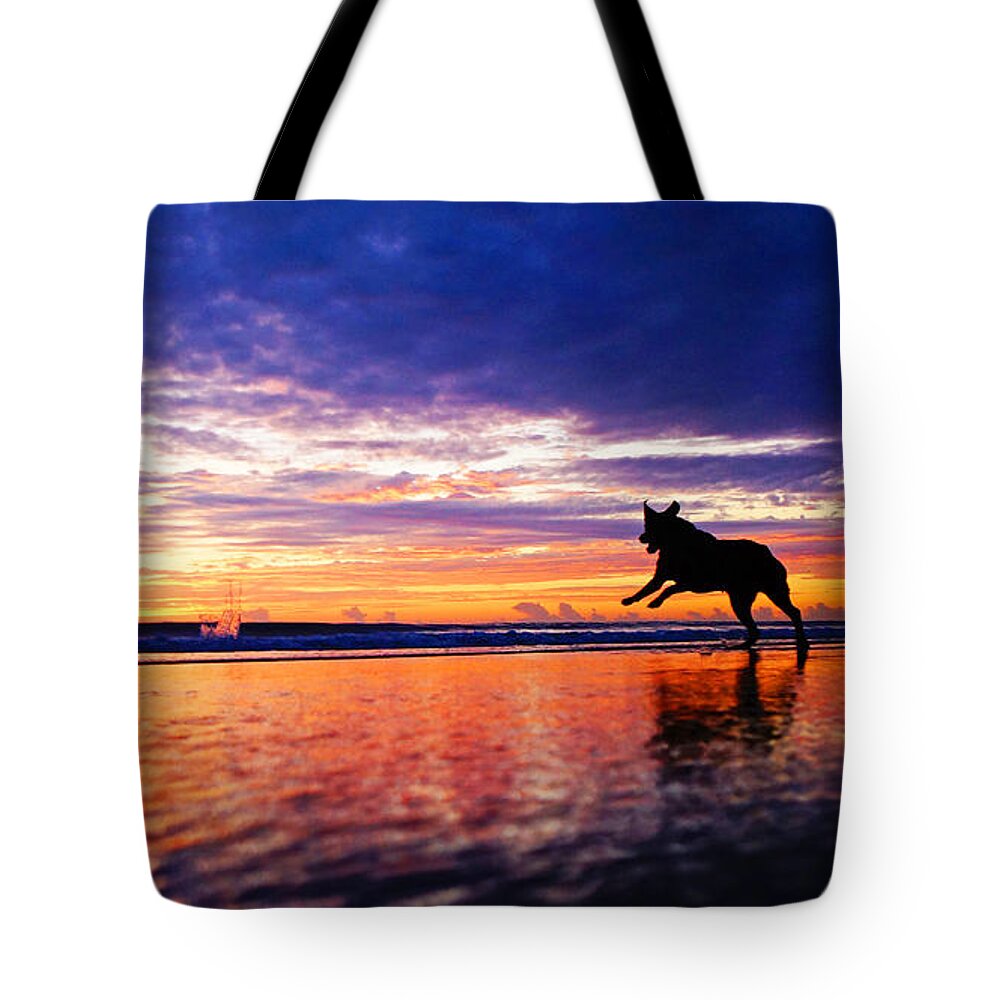 Sunrise Tote Bag featuring the photograph Dog Chasing Stick At Sunrise by Lawrence S Richardson Jr