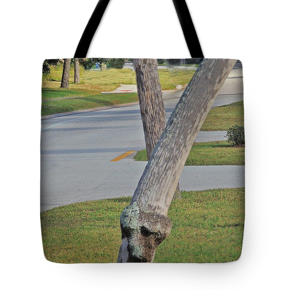 Pareidolia Tote Bag featuring the photograph Dog Face by Larry Mulvehill