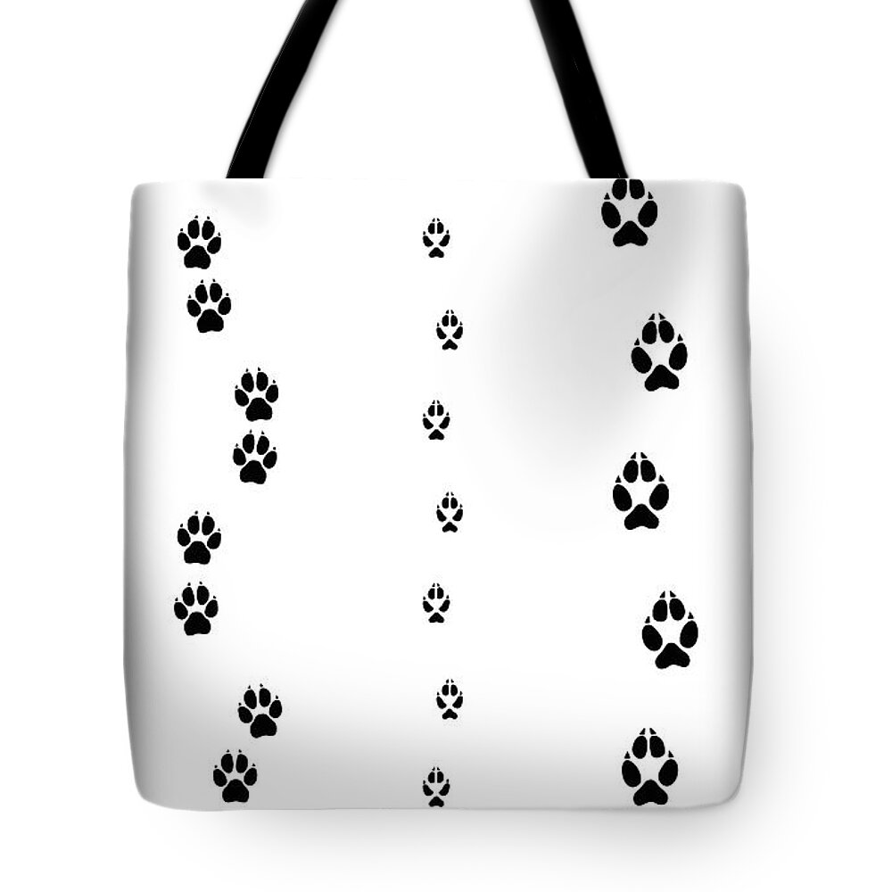 Dog Fox Wolf Tracks Comparison Tote Bag by Peter Hermes Furian