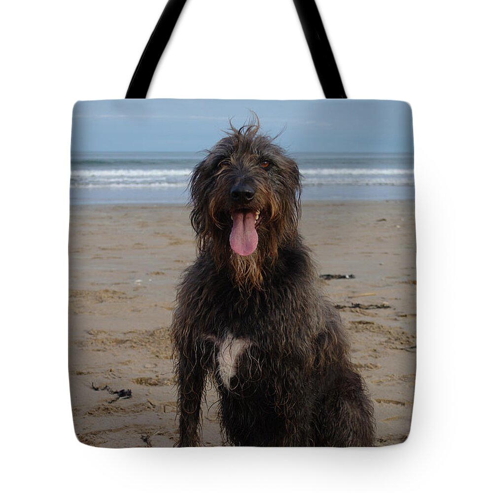 Dog Tote Bag featuring the photograph Dog Fresh From Surf by Adrian Wale