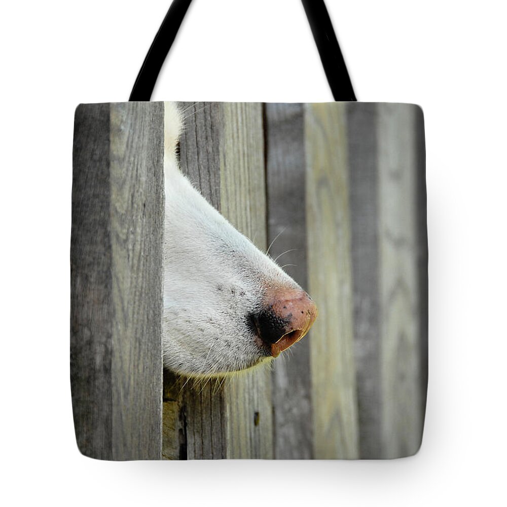 Adorable Tote Bag featuring the photograph Dog Nose by Joye Ardyn Durham