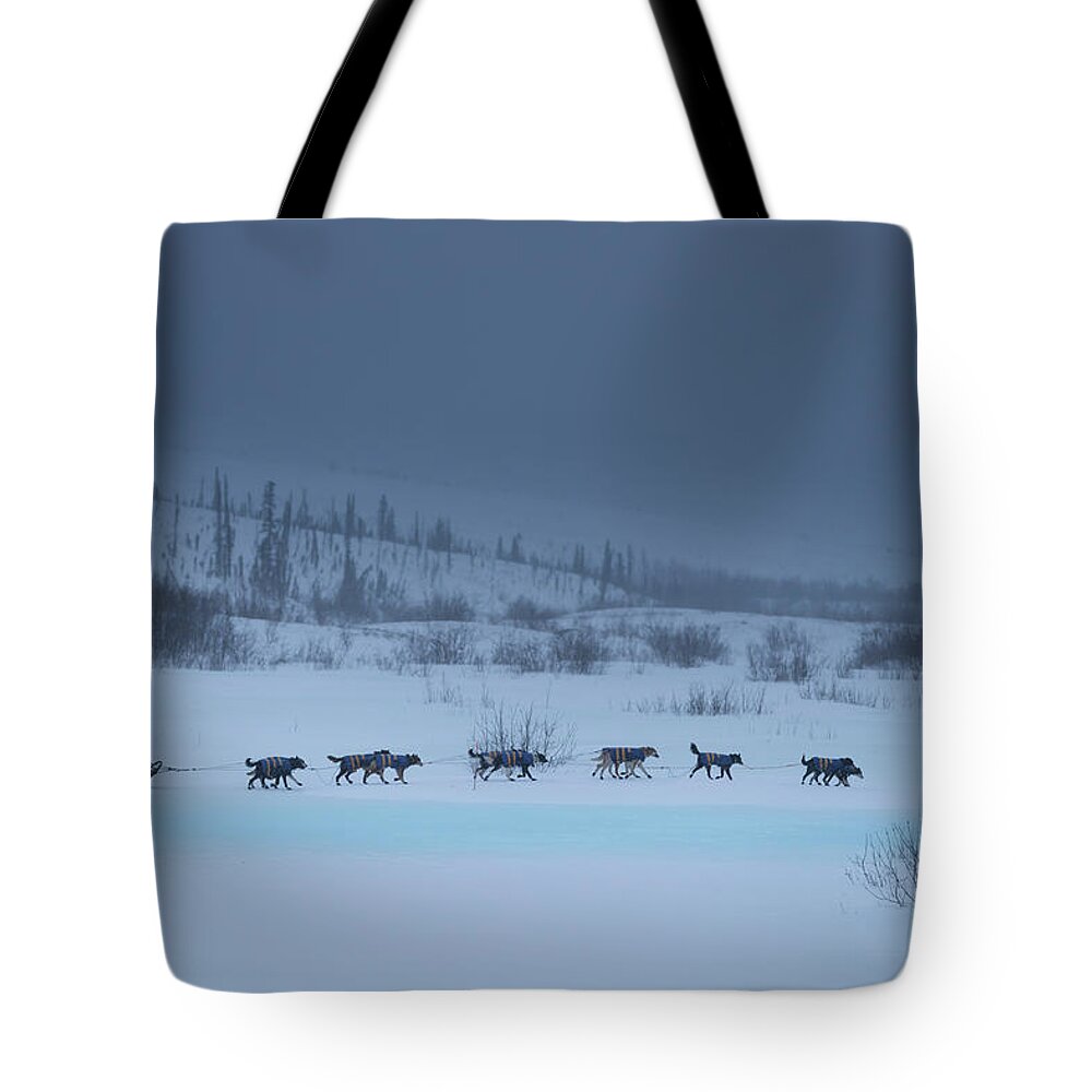 Alaska Tote Bag featuring the photograph Dog Sled Team on River by Scott Slone