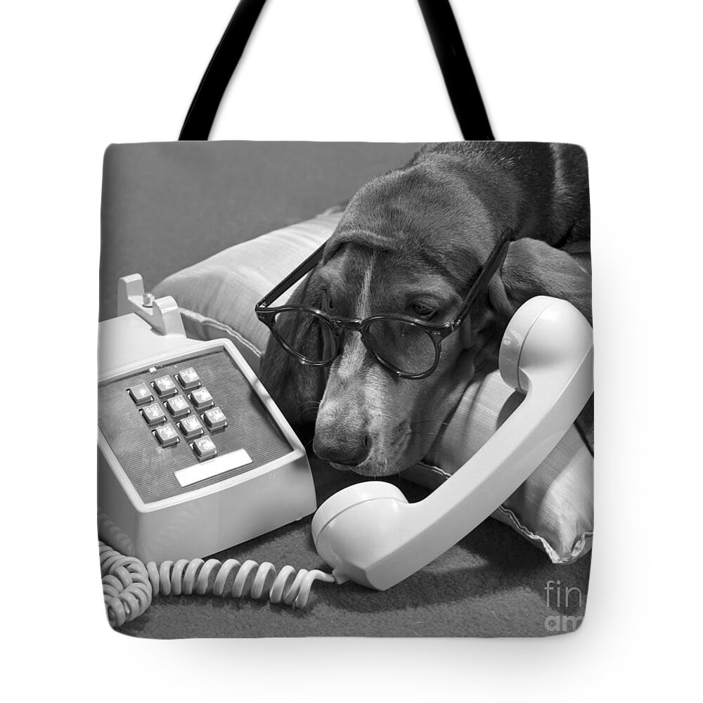 1960s Tote Bag featuring the photograph Dog With Eyeglasses And Telephone by H. Armstrong Roberts/ClassicStock