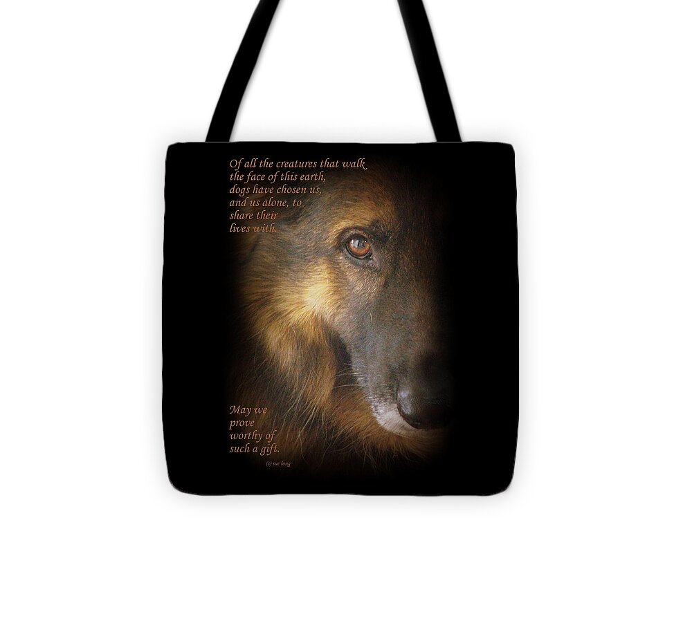 Dogs Tote Bag featuring the photograph Dogs Chose Us by Sue Long