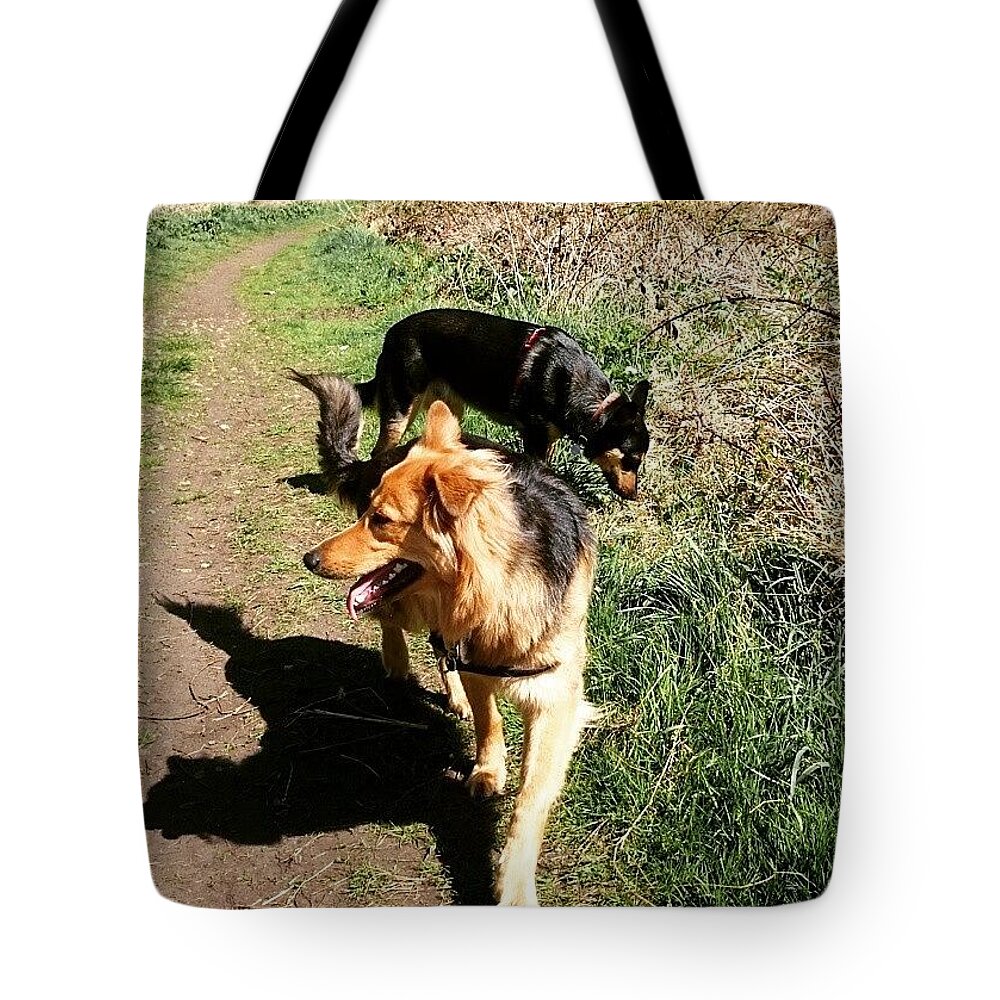 Petstagram Tote Bag featuring the photograph #dogs #gsd #germanshepherd by Abbie Shores