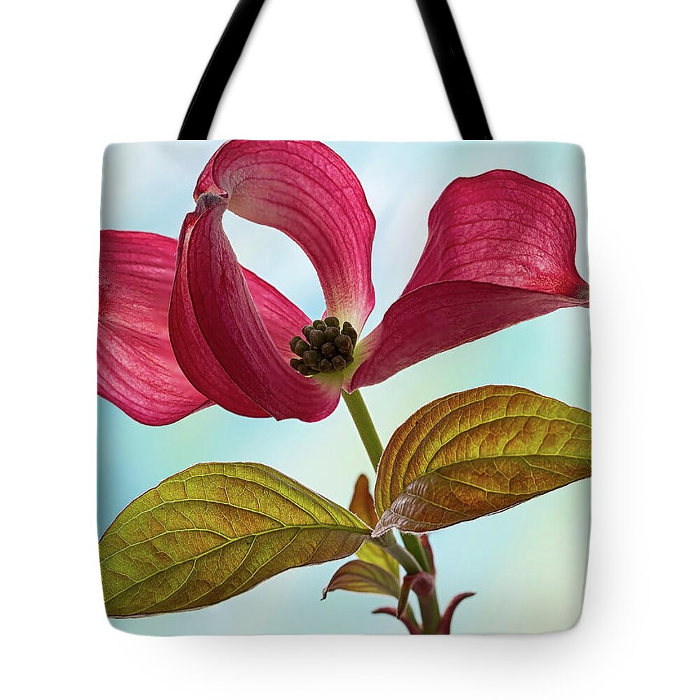 Floral Tote Bag featuring the photograph Dogwood Ballet 4 by Shirley Mitchell