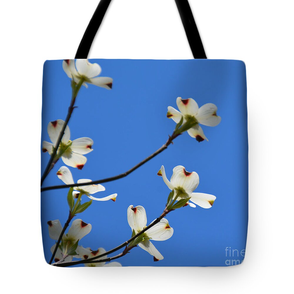 Flowering Tree Tote Bag featuring the photograph Dogwood Blooms by Jan Gelders