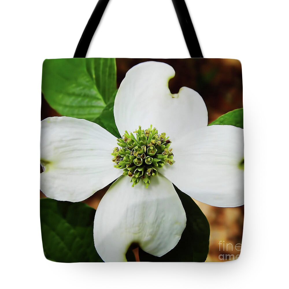 Dogwood Tote Bag featuring the photograph Dogwood Blossom by D Hackett