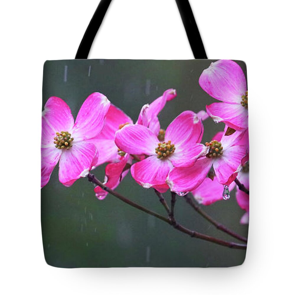 Dogwood Flowers Tote Bag featuring the photograph Dogwood Flowers in the Rain 0552 by Jack Schultz