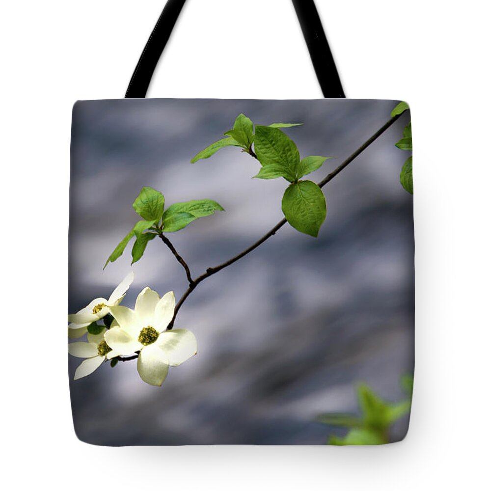 Dogwood Tote Bag featuring the photograph Dogwoods in Yosemite by Doug Holck