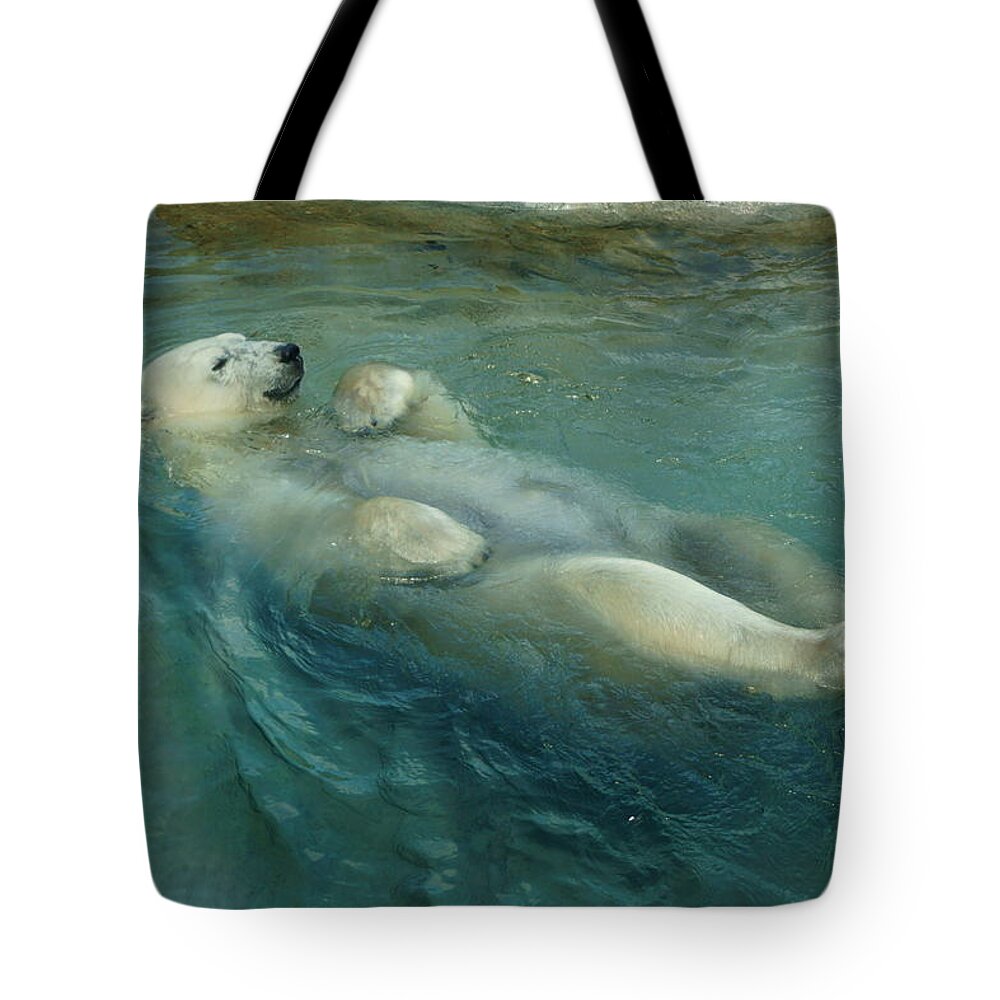 Animal Tote Bag featuring the photograph Doing Tricks 1 by Dimitry Papkov