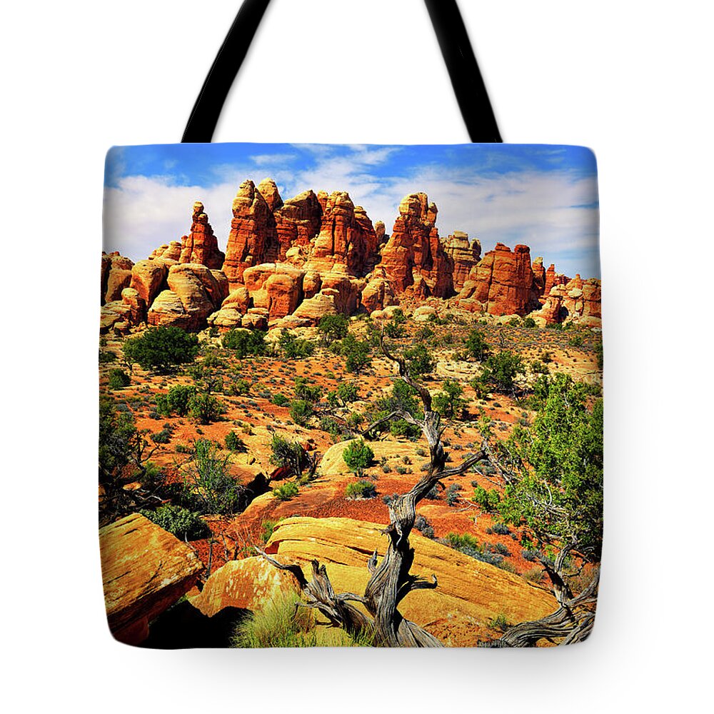 Doll House Tote Bag featuring the photograph Doll House in the Desert by Greg Norrell