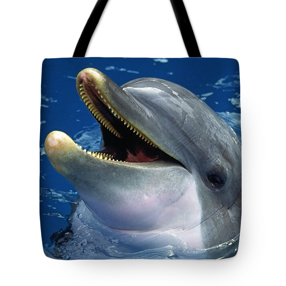 Dolphin Tote Bag featuring the photograph Dolphin by Gary Corbett