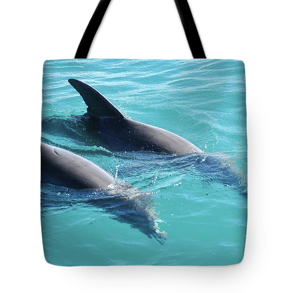 Belize Tote Bag featuring the photograph Dolphins by Joel Thai