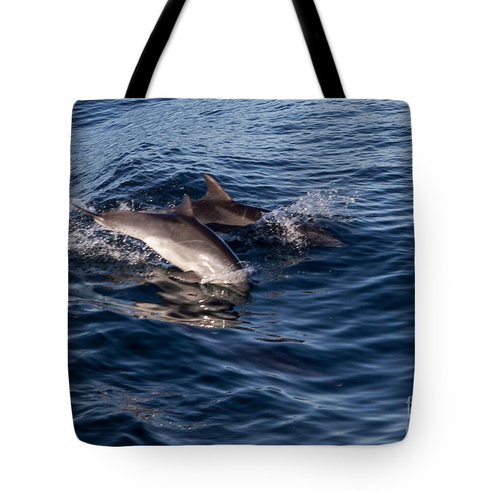 Dolphins Tote Bag featuring the photograph Dolphins Playing In The Wake by Suzanne Luft