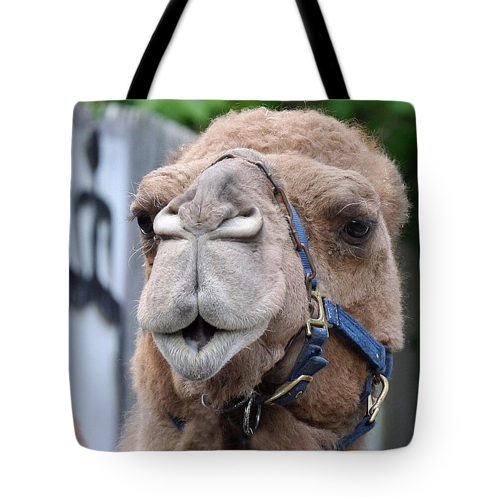 Richard Reeve Tote Bag featuring the photograph Dominica Camel by Richard Reeve