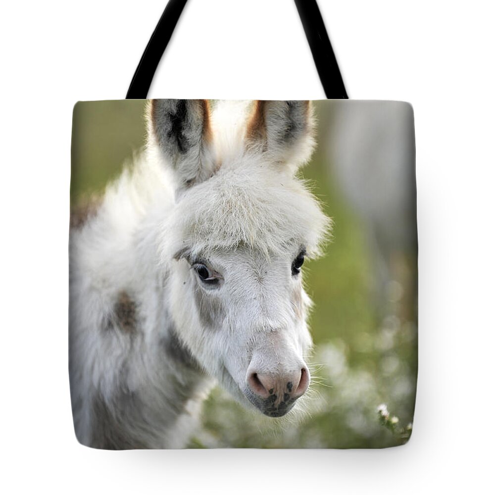 Miniature Tote Bag featuring the photograph Donkey Baby by Carien Schippers