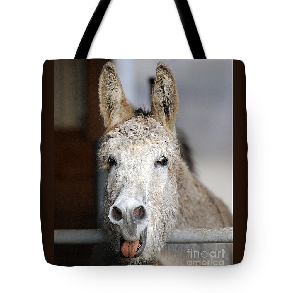 Donkeys Tote Bag featuring the photograph Donkeys #1185 by Carien Schippers