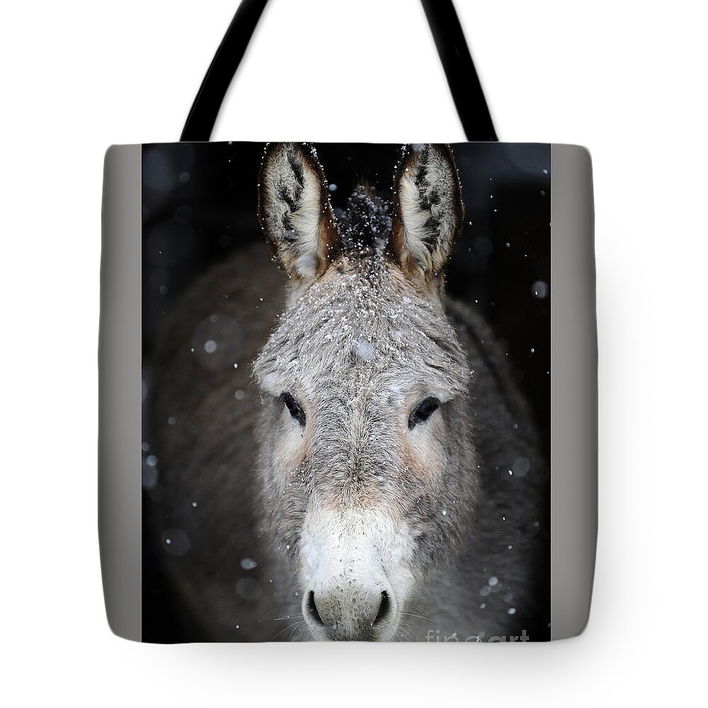 Donkeys Tote Bag featuring the photograph Donkeys #942 by Carien Schippers