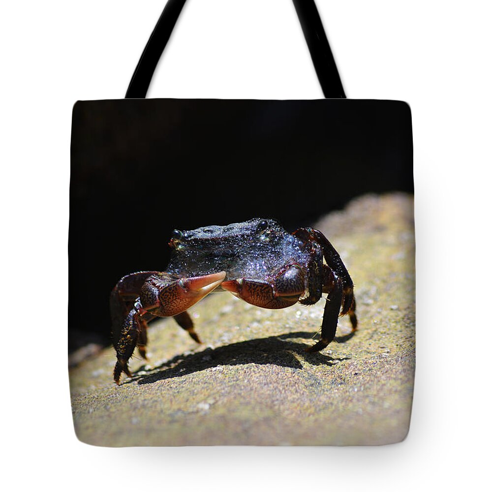 I Was Exploring The Tide Pools In Laguna Beach When I Stumbled Across This Little Guy Sunbathing With A Mouth Full Of Foam. I Could Not Resist The Shot. Tote Bag featuring the photograph Don't Be So Crabby by Erin Casperson