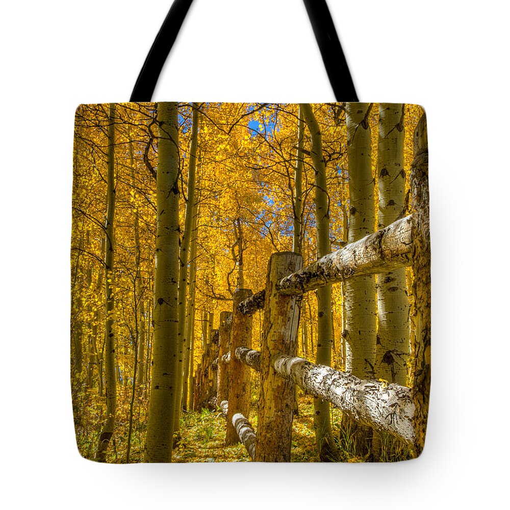 Aspen Tote Bag featuring the photograph Don't Fence Me In by Chuck Rasco Photography
